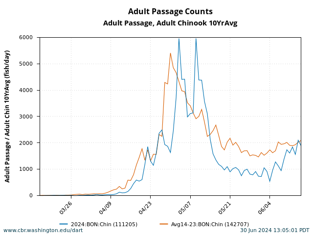 graph Daily Passage Bonneville Adult Spring Chinook March 15 - June 15 current year with 10 Year Average