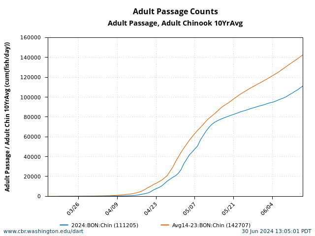 graph Cumulative Daily Passage Bonneville Adult Spring Chinook March 15 - June 15 current year with 10 Year Average