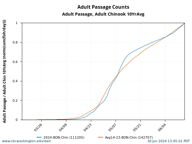 graph Normalized Cumulative Passage Bonneville Adult Spring Chinook March 15 - June 15 current year with 10 Year Average