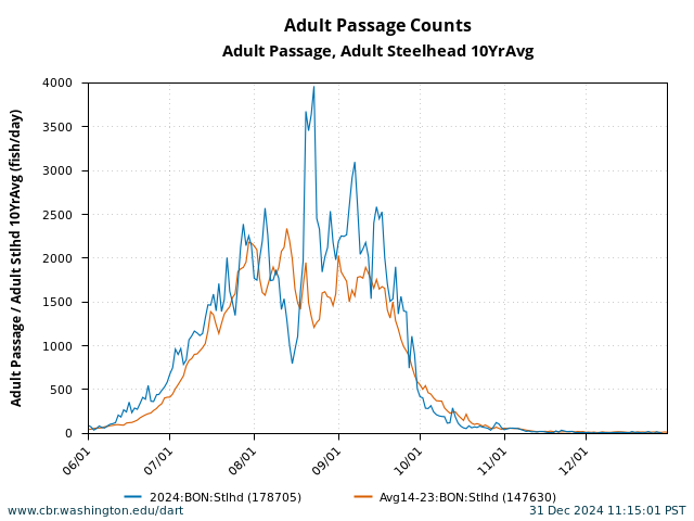 graph Daily Passage Bonneville Adult Steelhead June 1 - December 31 with 10 Year Average