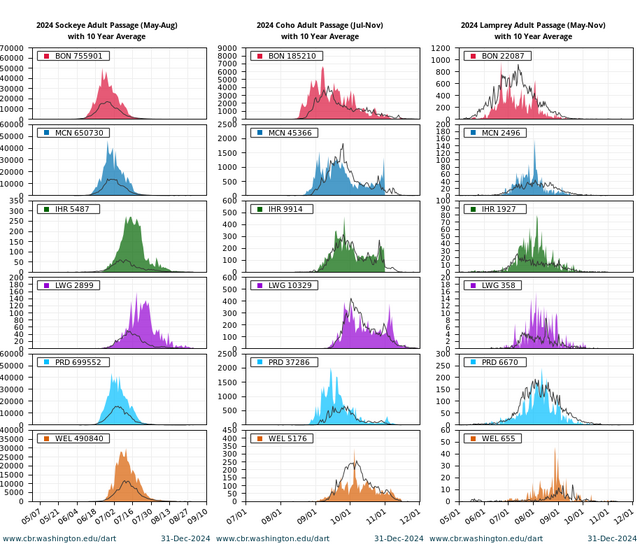 Adult Passage Counts Quick Look Sockeye Coho Lamprey combined graph