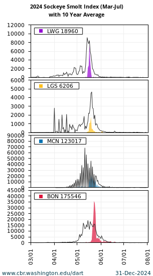 Smolt Index Sockeye Lower Granite, Little Goose, McNary, and Bonneville