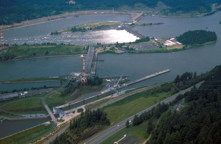 Bonneville Dam image