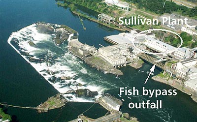 Willamette Falls Sullivan Project image