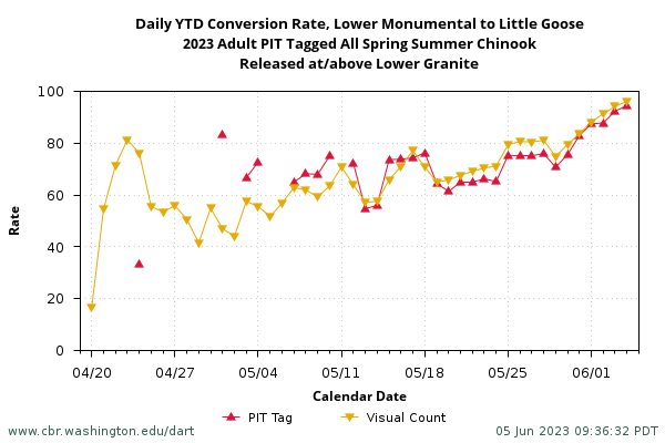 example Daily Year-to-Date (YTD) Conversion Rate graph