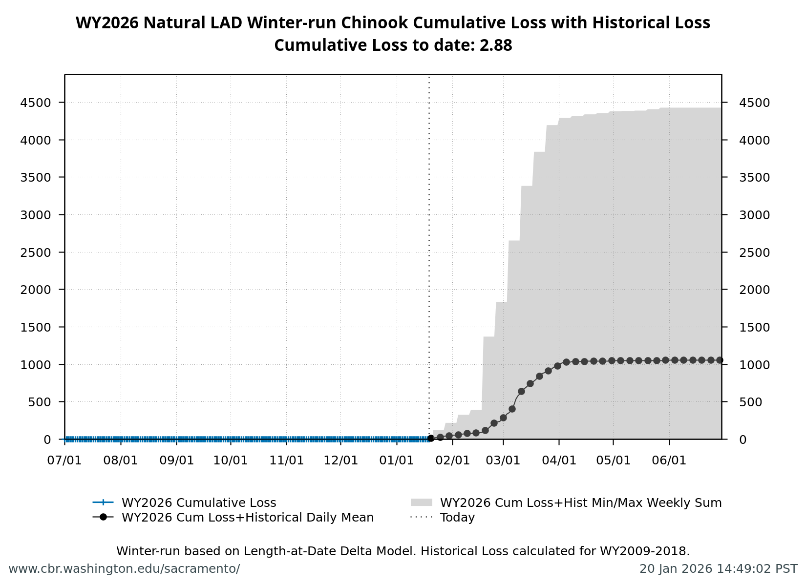 Line chart showing cumulative loss of natural LAD winter-run Chinook Salmon for the current water year (black line) compared to historical years (gray lines) with annual loss threshold indicated as a horizontal dashed line.