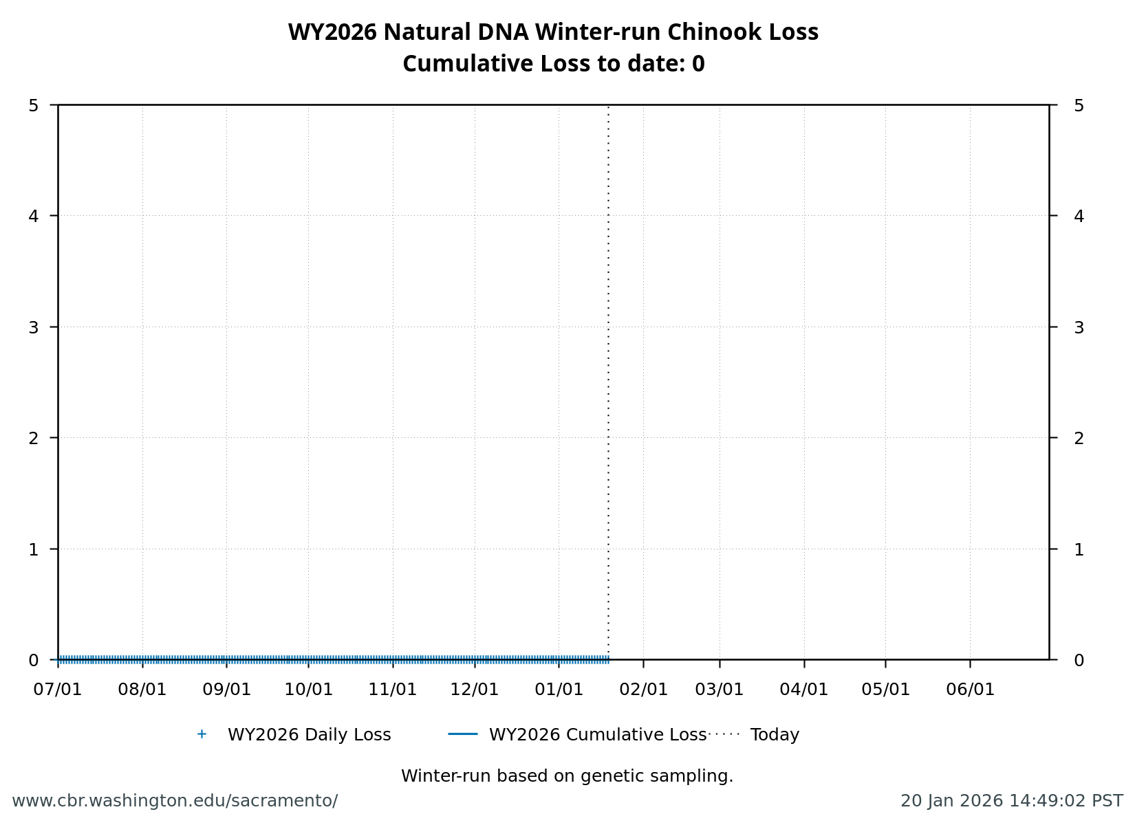 Line chart of cumulative loss of natural-origin winter-run Chinook Salmon at Delta facilities where daily loss is tracked against the annual threshold.