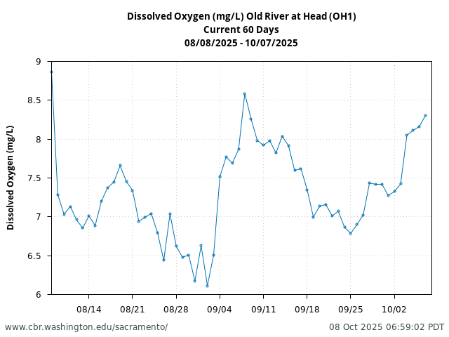 Plot of 60 Days current conditions Dissolved Oxygen (mg/L) Old River at Head (OH1)