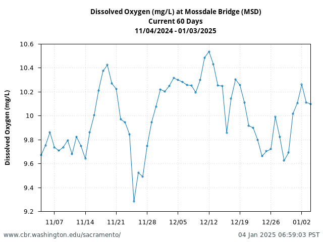 Plot of 60 Days current conditions Dissolved Oxygen (mg/L) at Mossdale Bridge (MSD)