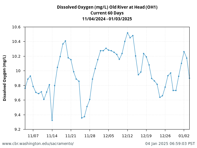 Plot of 60 Days current conditions Dissolved Oxygen (mg/L) Old River at Head (OH1)