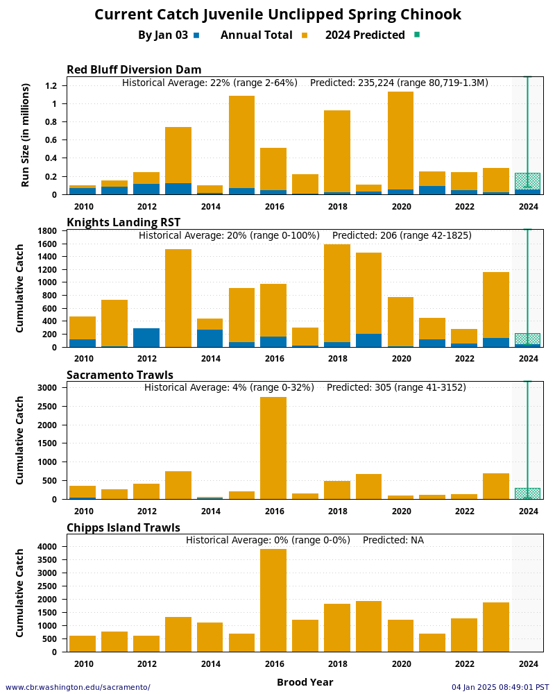 graph Current Catch Juvenile Unclipped Spring Chinook 15 Years Historical and Current Year at four Sacramento River locations: Red Bluff Diversion Dam, Knights Landing, Sacramento Trawls, and Chipps Island Trawls