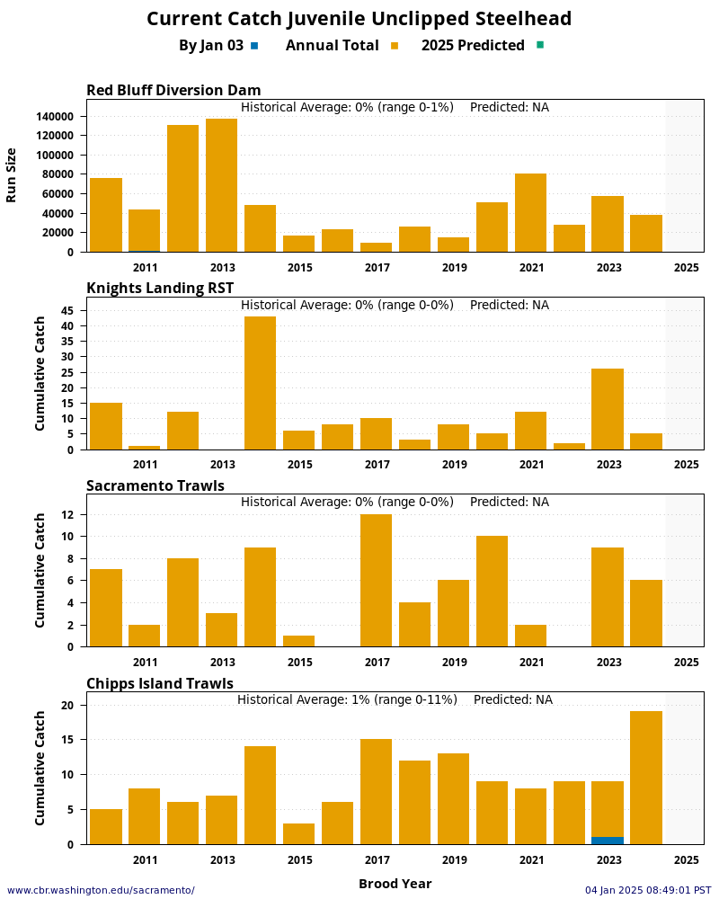 plot Current Catch Juvenile Unclipped Steelhead 15 Years Historical and Current Year at four Sacramento River locations: Red Bluff Diversion Dam, Knights Landing, Sacramento Trawls, and Chipps Island Trawls