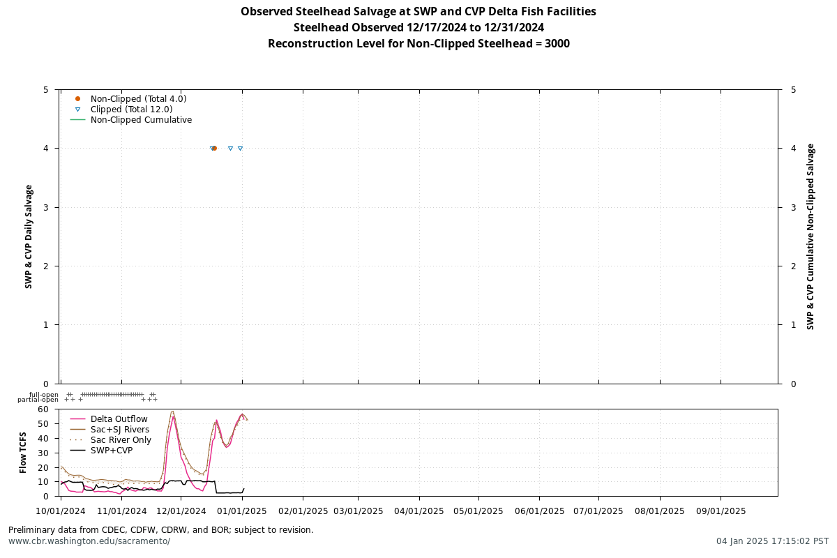 plot Observed Steelhead Salvage at SWP and CVP Delta Fish Facilities, Steelhead Observed 12/17/2024 to 12/31/2024, Reconstruction Level for Non-Clipped Steelhead = 3000