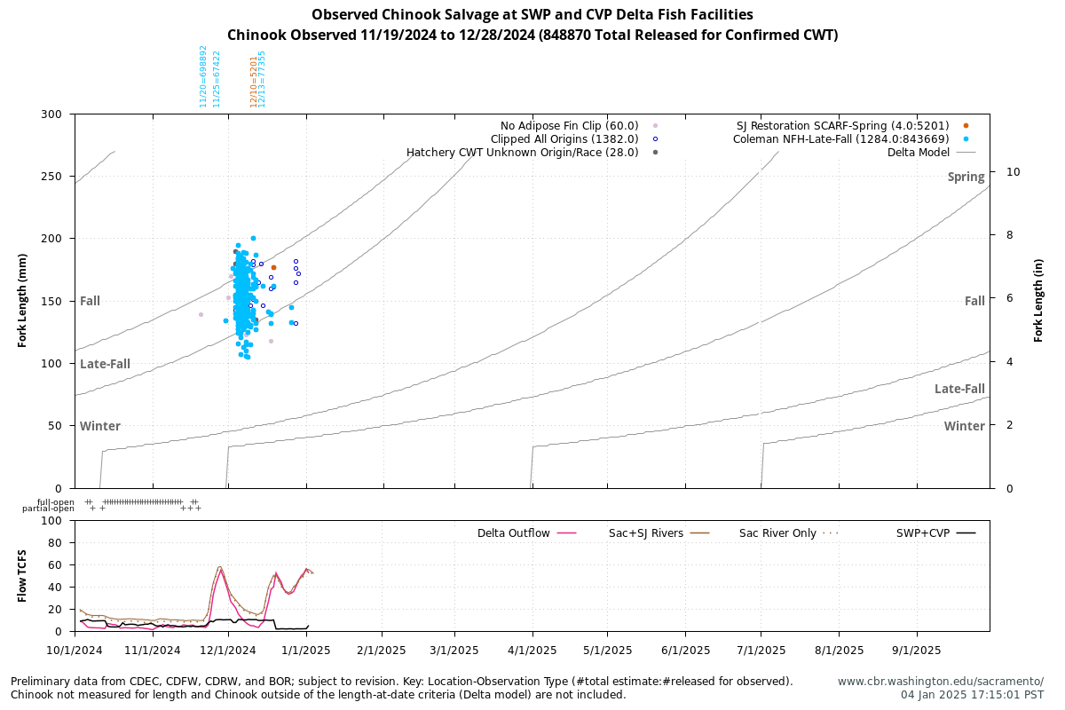 Observed Chinook Salvage at SWP and CVP Delta Fish Facilities, Chinook Observed 11/19/2024 to 12/28/2024 (848870 Total Released for Confirmed CWT) with Delta and River Flow