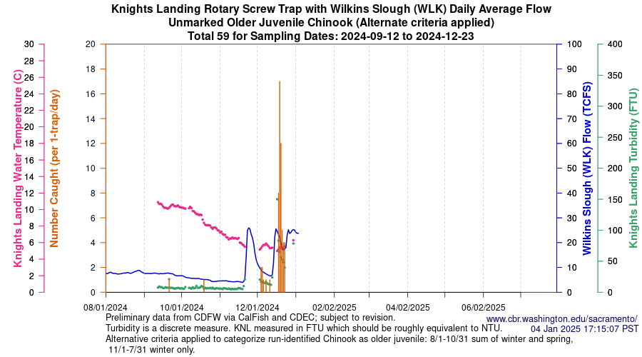 plot Central Valley Juvenile Salmonid Monitoring Knights Landing Rotary Screw Trap with Wilkins Slough (WLK) Daily Average Flow Unmarked Older Juvenile Chinook Sampling Dates 2024-09-12 to 2024-12-23