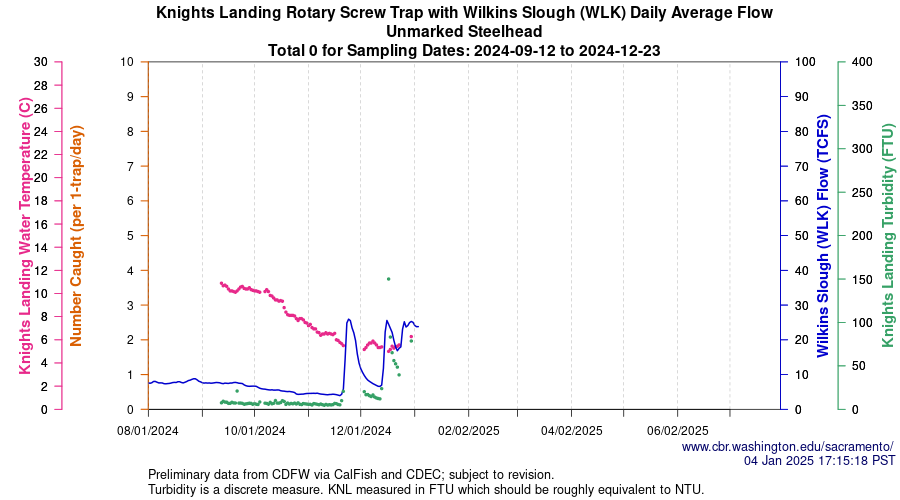 plot Central Valley Juvenile Salmonid Monitoring Knights Landing Rotary Screw Trap with Wilkins Slough (WLK) Daily Average Flow Unmarked Steelhead Sampling Dates 2024-09-12 to 2024-12-23