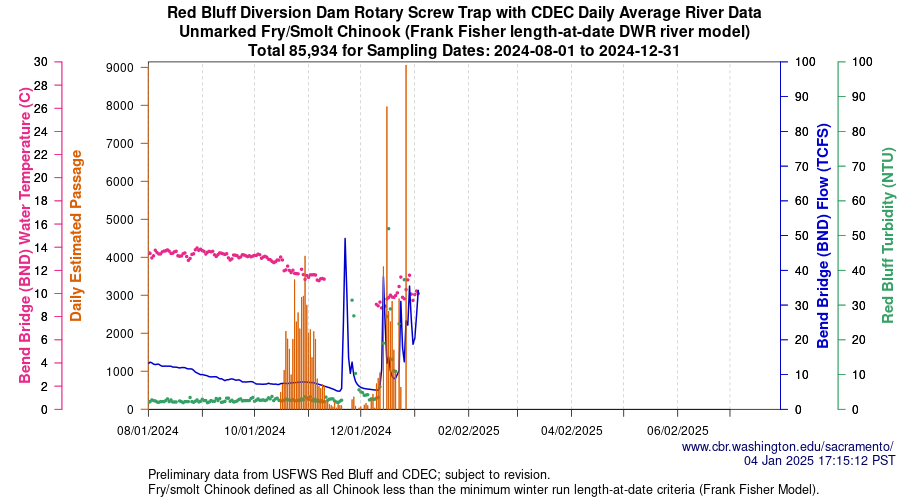 plot Central Valley Juvenile Salmonid Monitoring Red Bluff Diversion Dam Rotary Screw Trap with CDEC Daily Average River Data Unmarked Fry/Smolt Chinook Sampling Dates 2024-08-01 to 2024-12-31