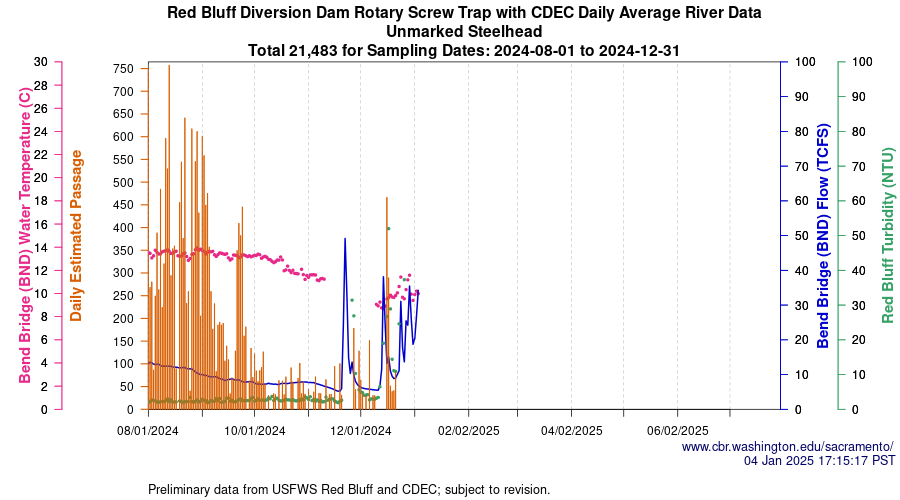 plot Central Valley Juvenile Salmonid Monitoring Red Bluff Diversion Dam Rotary Screw Trap with CDEC Daily Average River Data Unmarked Steelhead Sampling Dates 2024-08-01 to 2024-12-31