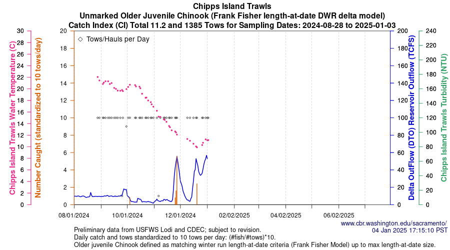 plot Central Valley Juvenile Salmonid Monitoring Chipps Island Trawls Unmarked Older Juvenile Chinook Sampling Dates 2024-08-28 to 2025-01-03