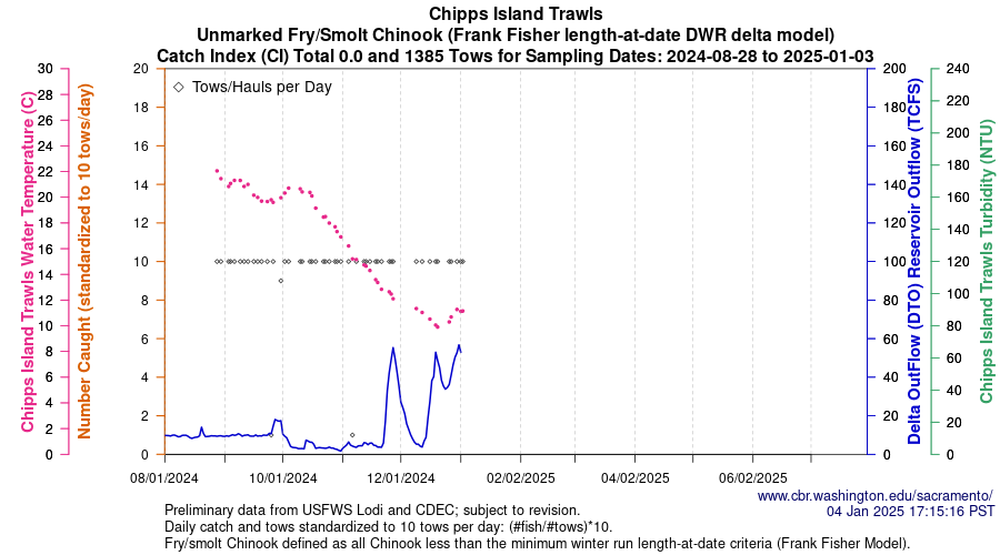 plot Central Valley Juvenile Salmonid Monitoring Chipps Island Trawls Unmarked Fry/Smolt Chinook Sampling Dates 2024-08-28 to 2025-01-03