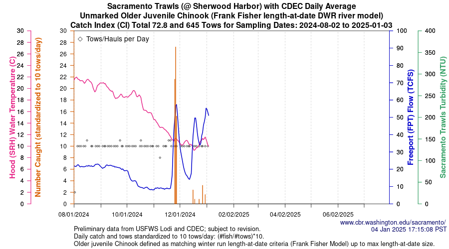 plot Central Valley Juvenile Salmonid Monitoring Sacramento Trawls (@ Sherwood Harbor) with CDEC Daily Average Unmarked Older Juvenile Chinook Sampling Dates 2024-08-02 to 2025-01-03