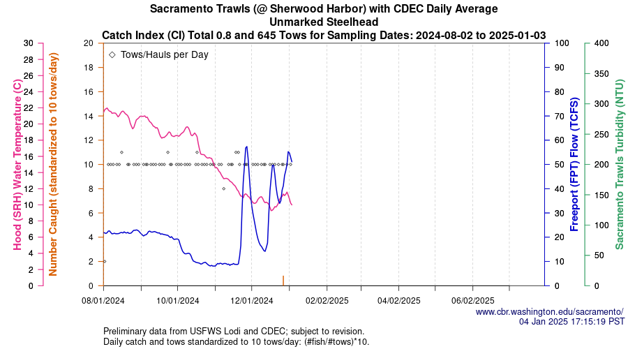 plot Central Valley Juvenile Salmonid Monitoring Sacramento Trawls (@ Sherwood Harbor) with CDEC Daily Average Unmarked Steelhead Sampling Dates 2024-08-02 to 2025-01-03