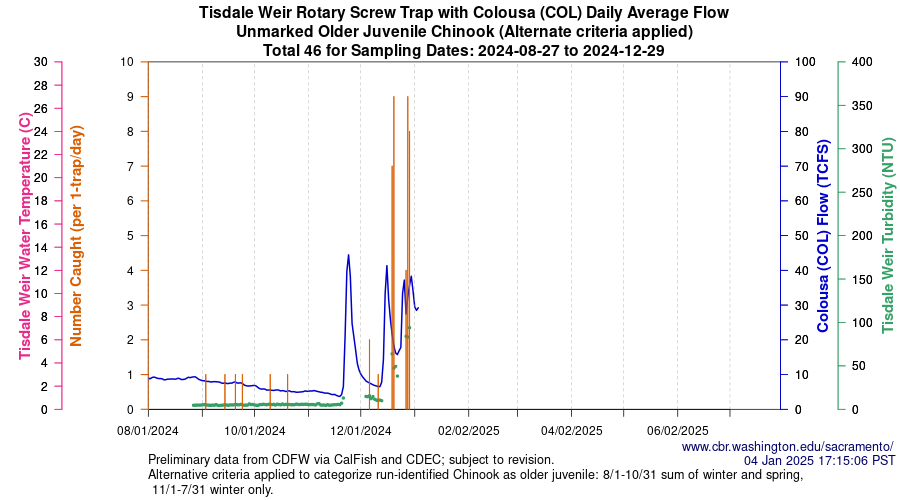 plot Central Valley Juvenile Salmonid Monitoring Tisdale Weir Rotary Screw Trap with Colousa (COL) Daily Average Flow Unmarked Older Juvenile Chinook Sampling Dates 2024-08-27 to 2024-12-29