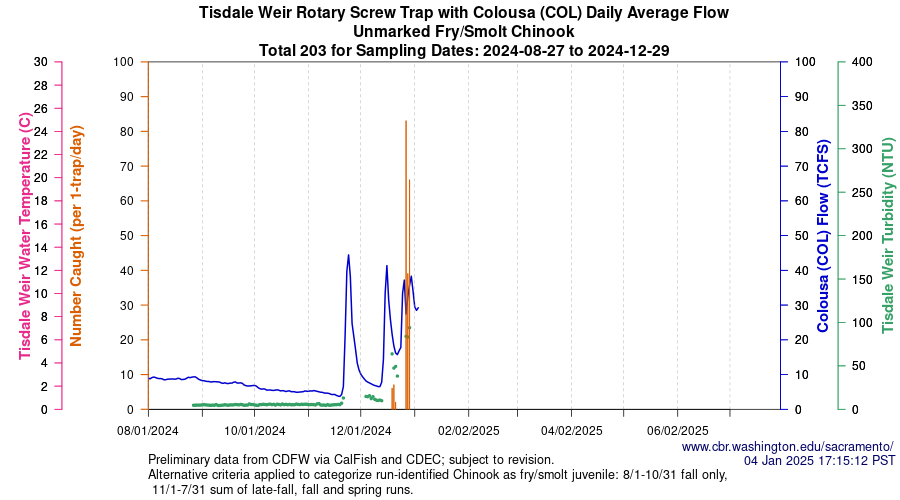 plot Central Valley Juvenile Salmonid Monitoring Tisdale Weir Rotary Screw Trap with Colousa (COL) Daily Average Flow Unmarked Fry/Smolt Chinook Sampling Dates 2024-08-27 to 2024-12-29