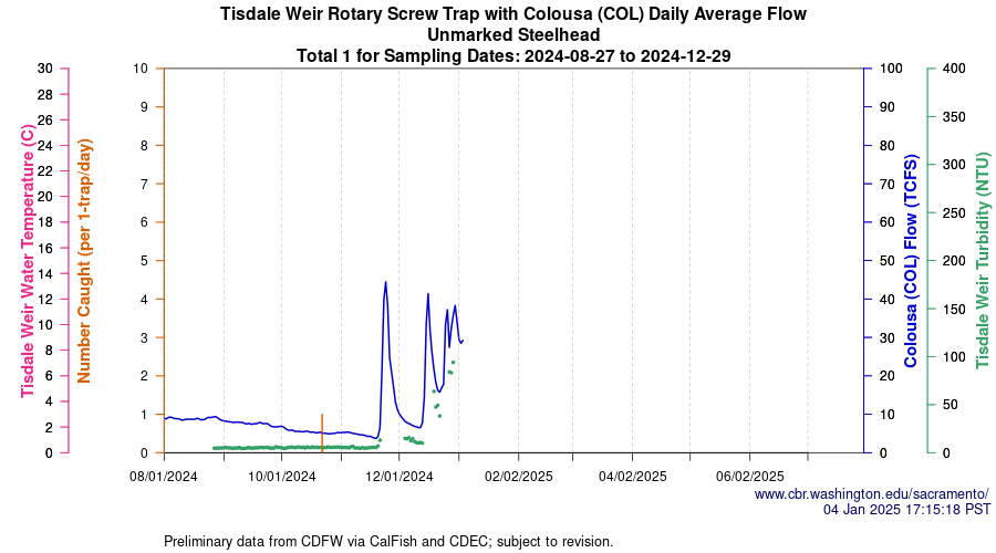 plot Central Valley Juvenile Salmonid Monitoring Tisdale Weir Rotary Screw Trap with Colousa (COL) Daily Average Flow Unmarked Steelhead Sampling Dates 2024-08-27 to 2024-12-29