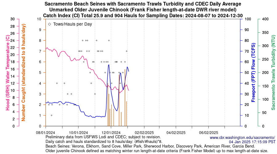 plot Central Valley Juvenile Salmonid Monitoring Verona, Elkhorn, Sand Cove, Miller Park, Sherwood Harbor, Discovery Park, American River, and Garcia Bend Beach Seines Unmarked Older Juvenile Chinook Sampling Dates 2024-08-07 to 2024-12-30