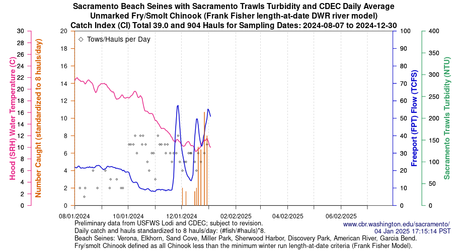 plot Central Valley Juvenile Salmonid Monitoring Verona, Elkhorn, Sand Cove, Miller Park, Sherwood Harbor, Discovery Park, American River, and Garcia Bend Beach Seines Unmarked Fry/Smolt Chinook Sampling Dates 2024-08-07 to 2024-12-30