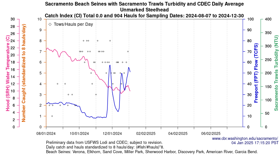 plot Central Valley Juvenile Salmonid Monitoring Verona, Elkhorn, Sand Cove, Miller Park, Sherwood Harbor, Discovery Park, American River, and Garcia Bend Beach Seines Unmarked Steelhead Sampling Dates 2024-08-07 to 2024-12-30