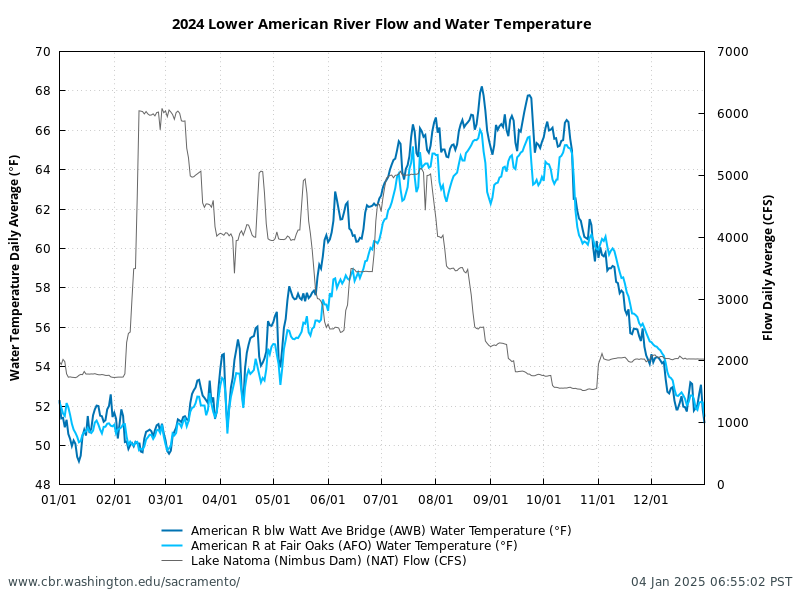 Line chart for 2024 Lower American River daily average flow at Lake Natoma Nimbus Dam (NAT) and water temperatures, below Watt Ave Bridge (AWB), and at Fair Oaks (AFO). Water temperatures (in degrees Fahrenheit) and flow in cubic feet per second (CFS). Data retrieved from CDEC; figure generated by SacPAS.