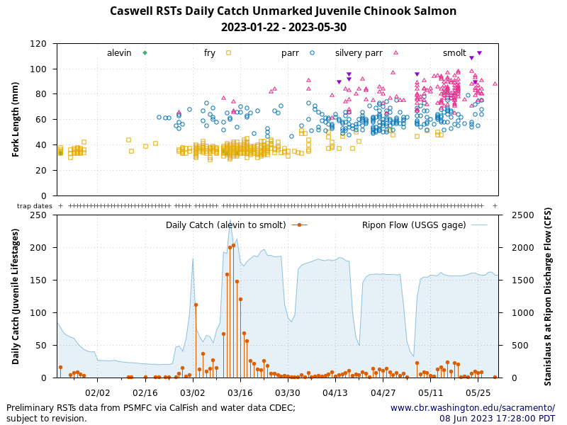 chart Caswell Memorial State Park Rotary Screw Traps Daily Catch juvenile lifestages Chinook