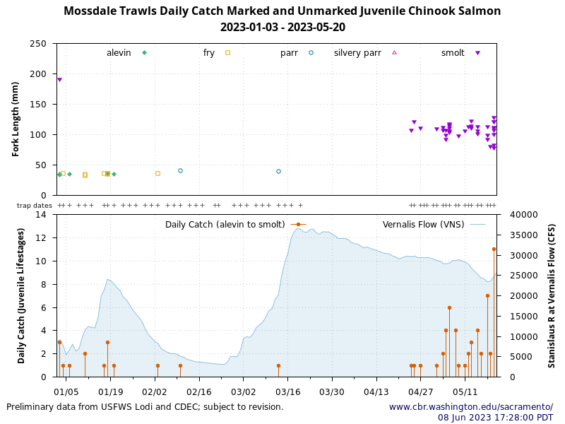 chart Mossdale Trawls Daily Catch juvenile lifestages Chinook