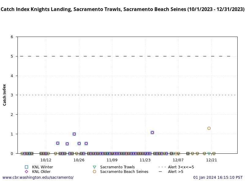 graphic Catch Index Knights Landing, Sacramento Trawls, Sacramento Beach Seines (10/1/2023 - 12/31/2023)